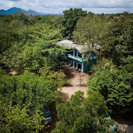 Hotel The Lion Rock Sigiriya Exteriér fotografie
